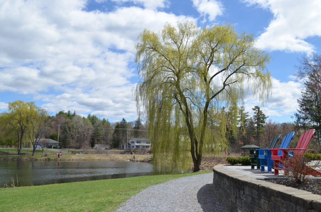 Hovey Pond view with large weeping willow tree and Adirondack chairs