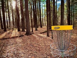 Picture of a basket at Crandall Park's Disc Golf course in Glens Falls, NY