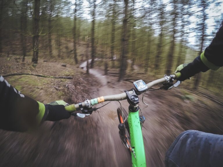 First person view of someone mountain biking